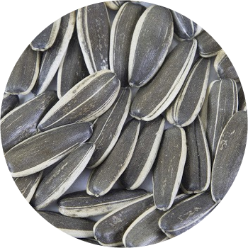 SUNFLOWER SEEDS