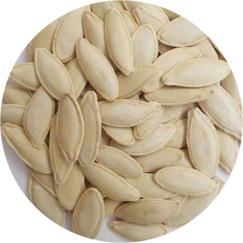 PUMPKIN SEEDS