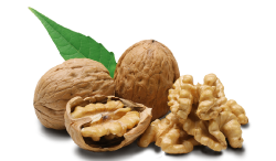 WALNUT